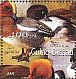 Eurasian Wigeon Mareca penelope  2001 Ducks Sheet