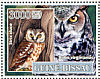 Boreal Owl Aegolius funereus  2007 Birds  MS