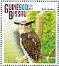 Spot-bellied Eagle-Owl Ketupa nipalensis  2014 Owls Sheet