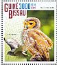 Spotted Wood Owl Strix seloputo  2014 Owls  MS