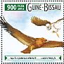 Steppe Eagle Aquila nipalensis  2015 Eagles Sheet