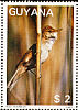 Common Reed Warbler Acrocephalus scirpaceus  1988 Fauna and flora 8v sheet