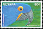 Hyacinth Macaw Anodorhynchus hyacinthinus  1993 South American parrots 