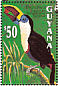 White-throated Toucan Ramphastos tucanus  1993 Birds of Guyana Sheet