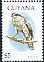 Eurasian Goshawk Accipiter gentilis  1995 Birds of the world 