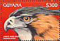 Ornate Hawk-Eagle Spizaetus ornatus  1996 Birds  MS