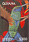 Sparkling Violetear Colibri coruscans  1996 Birds  MS MS