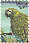Golden-collared Macaw Primolius auricollis  1999 Parrots of Central America Sheet