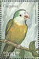Grey-cheeked Parakeet Brotogeris pyrrhoptera  1999 Parrots of Central America  MS MS