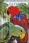Moluccan Eclectus Eclectus roratus  2001 Tropical birds  MS MS