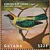 Burnished-buff Tanager Stilpnia cayana  2013 Birds of South America Sheet