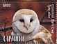 Western Barn Owl Tyto alba  2020 Owls Sheet
