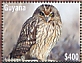 Short-eared Owl Asio flammeus  2022 Short-eared Owl Sheet