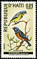 Hispaniolan Euphonia Chlorophonia musica  1969 Birds 