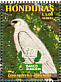 White Hawk Pseudastur albicollis  1999 Birds of Honduras in danger of extinction Sheet