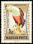 African Fish Eagle Icthyophaga vocifer  1962 Birds of prey 