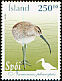 Eurasian Whimbrel Numenius phaeopus  2003 Birds 