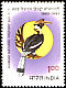 Great Hornbill Buceros bicornis  1983 Natural history society 