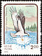 Osprey Pandion haliaetus  1992 Birds of prey 