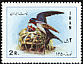 Barn Swallow Hirundo rustica  1971 New year stamps 