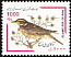 Redwing Turdus iliacus  2000 Bird definitive 