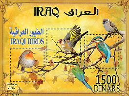 European Robin Erithacus rubecula  2015 Iraqi birds 