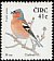 Eurasian Chaffinch Fringilla coelebs  2002 Birds 