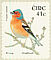 Eurasian Chaffinch Fringilla coelebs  2002 Birds, Chaffinch and Goldcrest Strip, sa, SNP