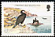 Great Cormorant Phalacrocorax carbo  1983 Birds 