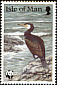 Great Cormorant Phalacrocorax carbo  1989 Sea birds 