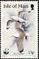 Black-legged Kittiwake Rissa tridactyla  1989 Sea birds 