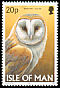 Western Barn Owl Tyto alba  1997 Owls 