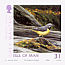 Grey Wagtail Motacilla cinerea  2006 Manx bird atlas 2 strips, sa