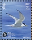 Little Tern Sternula albifrons  2023 Manx Wildlife Trust 50th anniversary 10v set