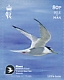 Little Tern Sternula albifrons  2023 Manx Wildlife Trust 50th anniversary 10v booklet, sa