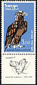 White-tailed Eagle Haliaeetus albicilla  1963 Birds 