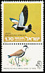 Spur-winged Lapwing Vanellus spinosus  1975 Protected birds 