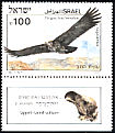 Lappet-faced Vulture Torgos tracheliotos  1985 Biblical birds s 44x29mm