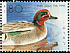 Eurasian Teal Anas crecca  1989 Ducks Strip, s 34x25mm