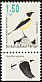 Eastern Black-eared Wheatear Oenanthe melanoleuca  1993 Songbirds 