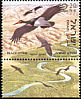 Black Stork Ciconia nigra  2002 Birds of the Jordan Valley 