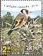 European Goldfinch Carduelis carduelis  2012 Birds of Israel Prestige booklet