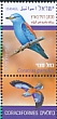 European Roller Coracias garrulus  2019 Birds in Israel 