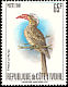 Red-billed Dwarf Hornbill Lophoceros camurus  1980 Birds 