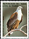African Fish Eagle Icthyophaga vocifer  1983 Birds 
