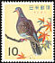 Oriental Turtle Dove Streptopelia orientalis  1963 Japanese birds 