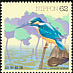 Common Kingfisher Alcedo atthis  1993 Water birds 