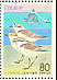 Kentish Plover Anarhynchus alexandrinus  1994 Kentish Plover and Futamiura beach Booklet