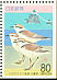 Kentish Plover Anarhynchus alexandrinus  1994 Kentish Plover and Futamiura beach Booklet