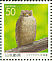 Blakiston's Fish Owl Ketupa blakistoni  1999 Birds in Hokkaido Strip